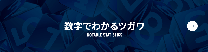 数字でわかるツガワ